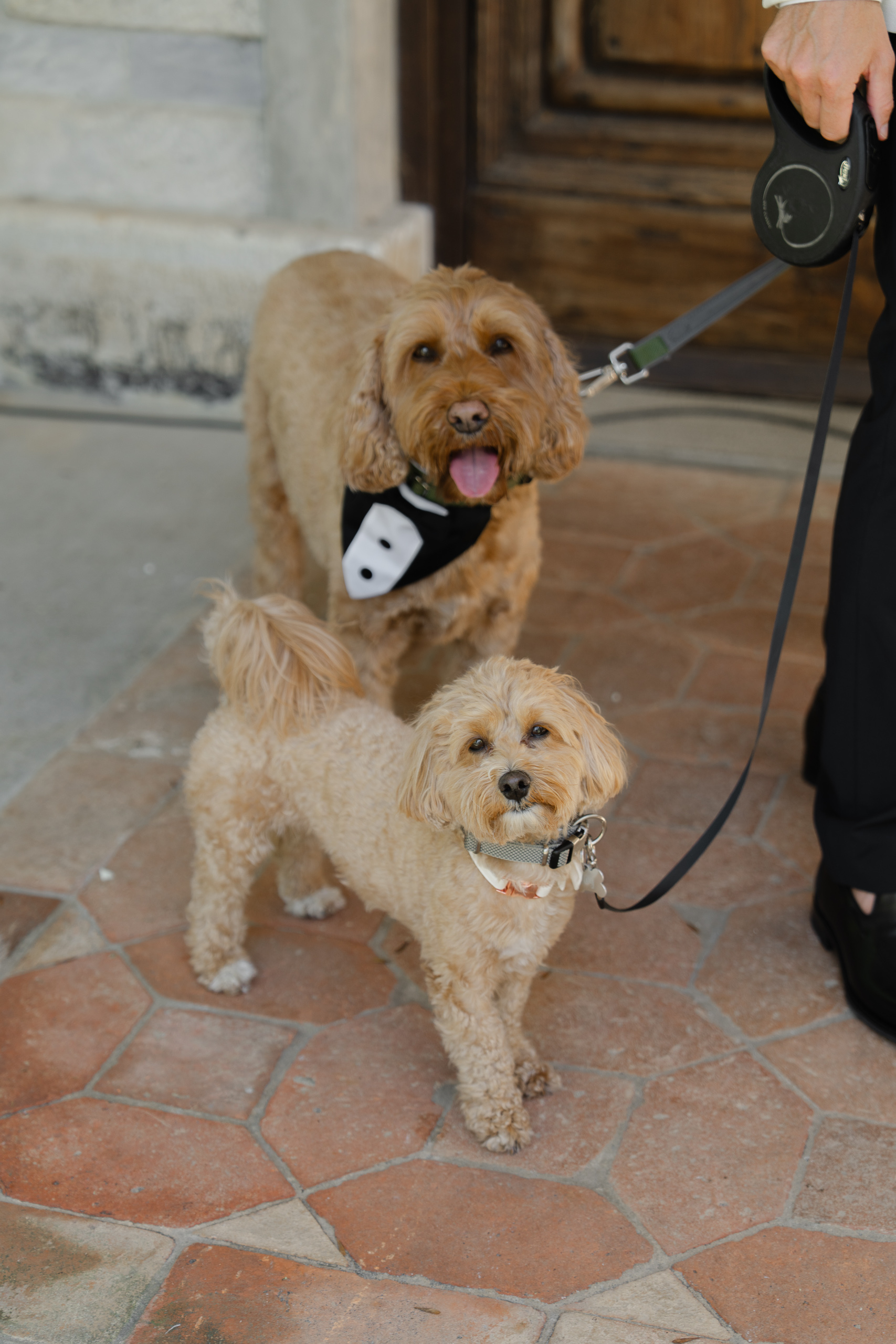 Michael Lee and Olha 2560px—29